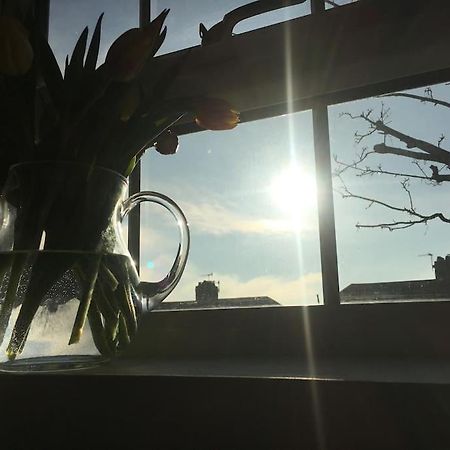 Brighton Boutique Garden Studio With Free Parking Exteriér fotografie