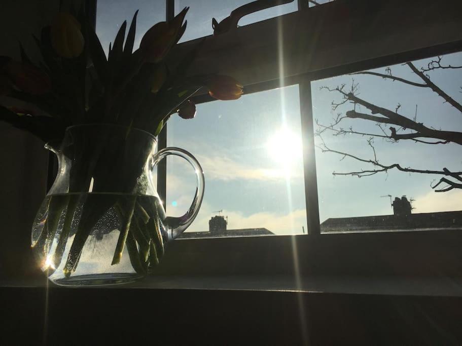 Brighton Boutique Garden Studio With Free Parking Exteriér fotografie