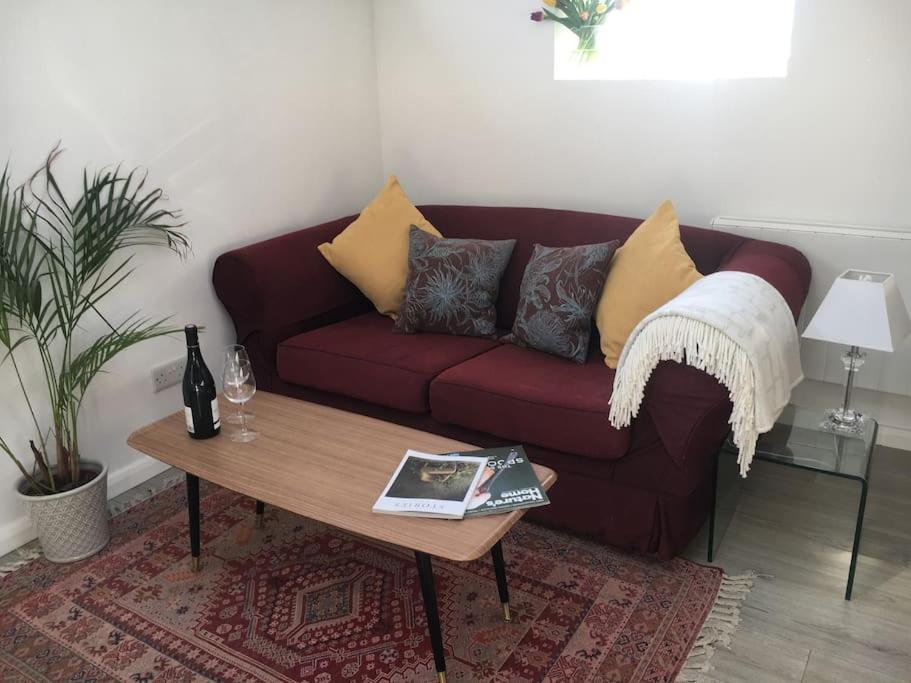 Brighton Boutique Garden Studio With Free Parking Exteriér fotografie